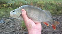 foto/diskuze/z_lovu/2011/th-img45293.jpg