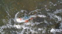 foto/diskuze/z_lovu/2011/th-img45294.jpg