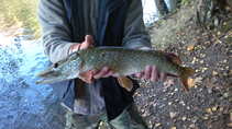 foto/diskuze/z_lovu/2011/th-img45295.jpg