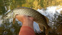 foto/diskuze/z_lovu/2011/th-img45296.jpg