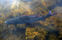 foto/diskuze/z_lovu/2011/th-img45420.jpg