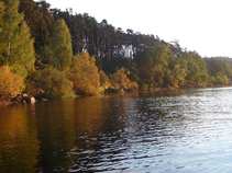 foto/diskuze/z_lovu/2011/th-img45429.jpg