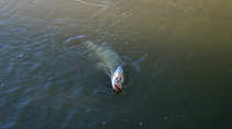 foto/diskuze/z_lovu/2011/th-img45483.jpg