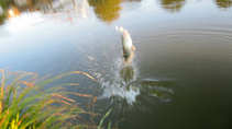foto/diskuze/z_lovu/2011/th-img45484.jpg