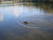 foto/diskuze/z_lovu/2011/th-img45494.jpg