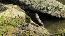foto/diskuze/z_lovu/2011/th-img45521.jpg