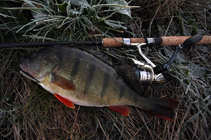 foto/diskuze/z_lovu/2011/th-img45530.jpg