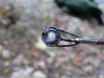 foto/diskuze/z_lovu/2011/th-img45599.jpg
