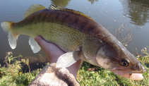 foto/diskuze/z_lovu/2011/th-img45610.jpg