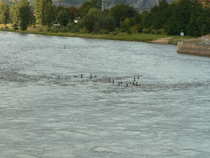foto/diskuze/z_lovu/2011/th-img45669.jpg