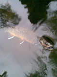 foto/diskuze/z_lovu/2011/th-img45687.jpg