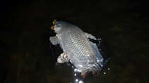 foto/diskuze/z_lovu/2011/th-img45786.jpg