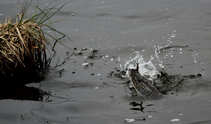 foto/diskuze/z_lovu/2011/th-img45801.jpg