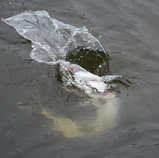foto/diskuze/z_lovu/2011/th-img45802.jpg