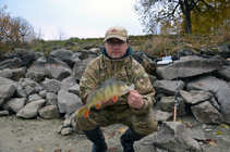 foto/diskuze/z_lovu/2011/th-img45815.jpg