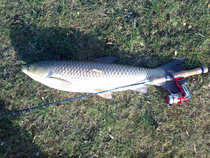 foto/diskuze/z_lovu/2011/th-img45847.jpg