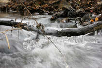 foto/diskuze/z_lovu/2011/th-img45904.jpg