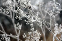 foto/diskuze/z_lovu/2011/th-img45937.jpg