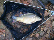 foto/diskuze/z_lovu/2011/th-img45982.jpg