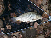 foto/diskuze/z_lovu/2011/th-img45983.jpg