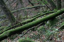 foto/diskuze/z_lovu/2011/th-img46001.jpg