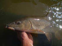 foto/diskuze/z_lovu/2011/th-img46068.jpg