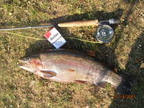 foto/diskuze/z_lovu/2011/th-img46100.jpg