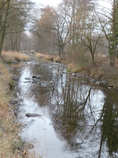 foto/diskuze/z_lovu/2011/th-img46102.jpg