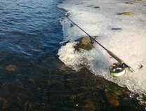 foto/diskuze/z_lovu/2011/th-img46114.jpg