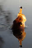 foto/diskuze/z_lovu/2011/th-img46117.jpg