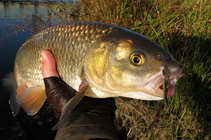 foto/diskuze/z_lovu/2011/th-img46119.jpg
