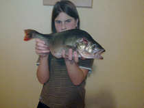 foto/diskuze/z_lovu/2011/th-img46130.jpg