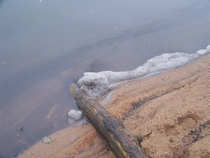 foto/diskuze/z_lovu/2011/th-img46167.jpg