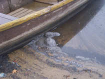 foto/diskuze/z_lovu/2011/th-img46168.jpg