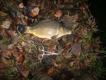 foto/diskuze/z_lovu/2011/th-img46180.jpg
