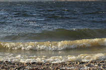 foto/diskuze/z_lovu/2011/th-img46221.jpg