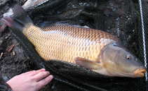 foto/diskuze/z_lovu/2011/th-img46370.jpg