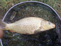 foto/diskuze/z_lovu/2011/th-img46404.jpg