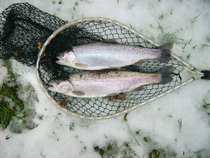 foto/diskuze/z_lovu/2011/th-img46458.jpg