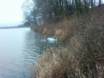 foto/diskuze/z_lovu/2011/th-img46502.jpg