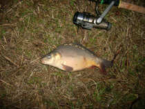 foto/diskuze/z_lovu/2011/th-img46538.jpg