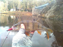 foto/diskuze/z_lovu/2011/th-img46570.jpg