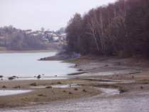 foto/diskuze/z_lovu/2011/th-img46611.jpg