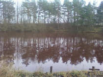 foto/diskuze/z_lovu/2012/th-img46637.jpg