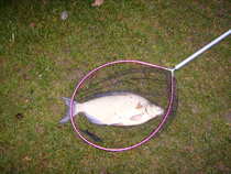 foto/diskuze/z_lovu/2012/th-img46655.jpg