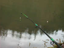 foto/diskuze/z_lovu/2012/th-img46730.jpg