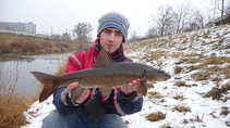 foto/diskuze/z_lovu/2012/th-img46802.jpg