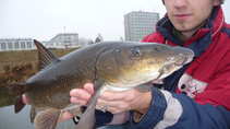 foto/diskuze/z_lovu/2012/th-img46805.jpg