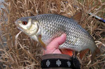 foto/diskuze/z_lovu/2012/th-img46808.jpg