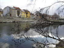 foto/diskuze/z_lovu/2012/th-img46873.jpg